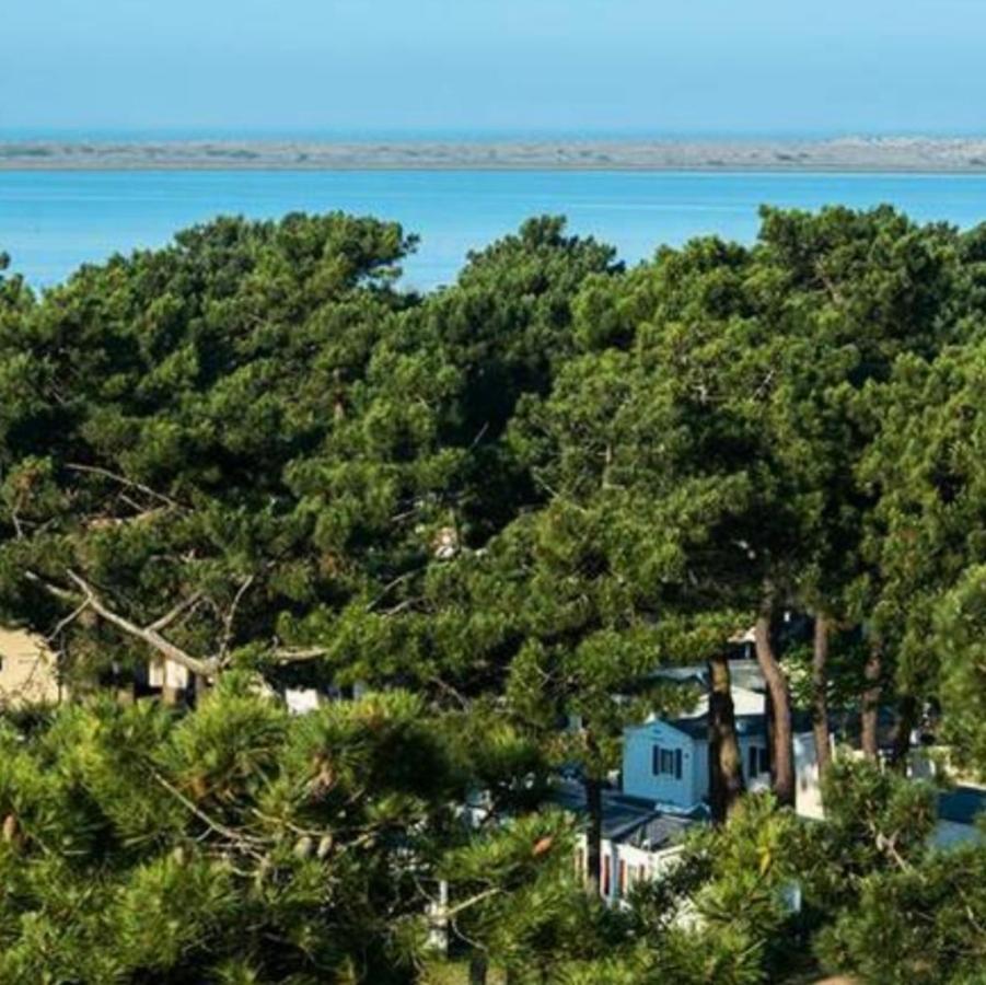 莱马特 Camping La Palmyre酒店 外观 照片